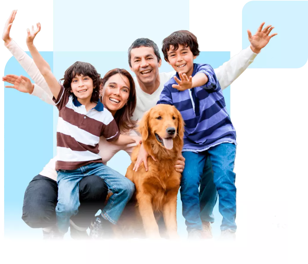 Header Informativa