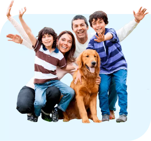Header Informativa